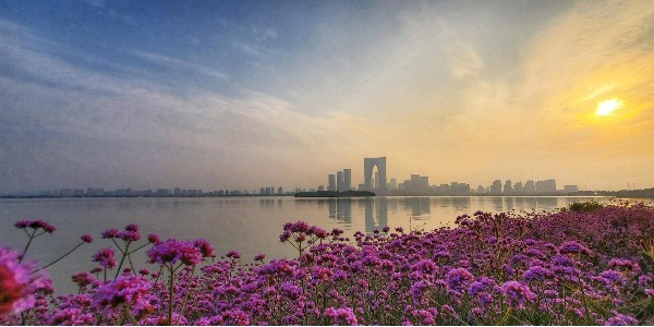 蘇州市出台相關實施意見 到2025年累計推廣應用新能源汽車超30萬輛