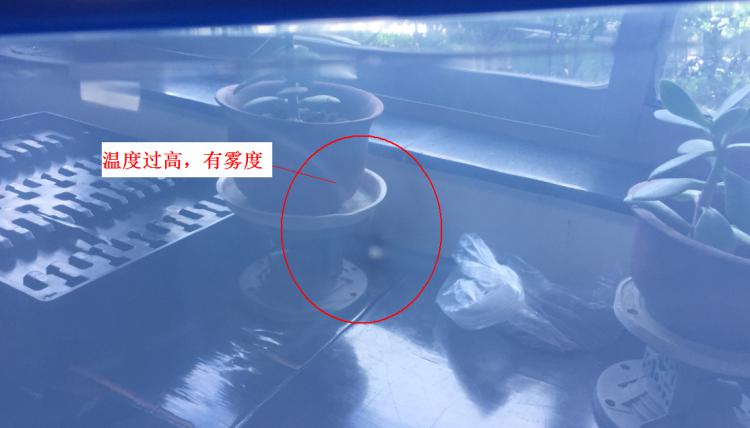 注塑製品質量缺陷分析（六）造成製品表麵有霧度的主要原因是什麽？
